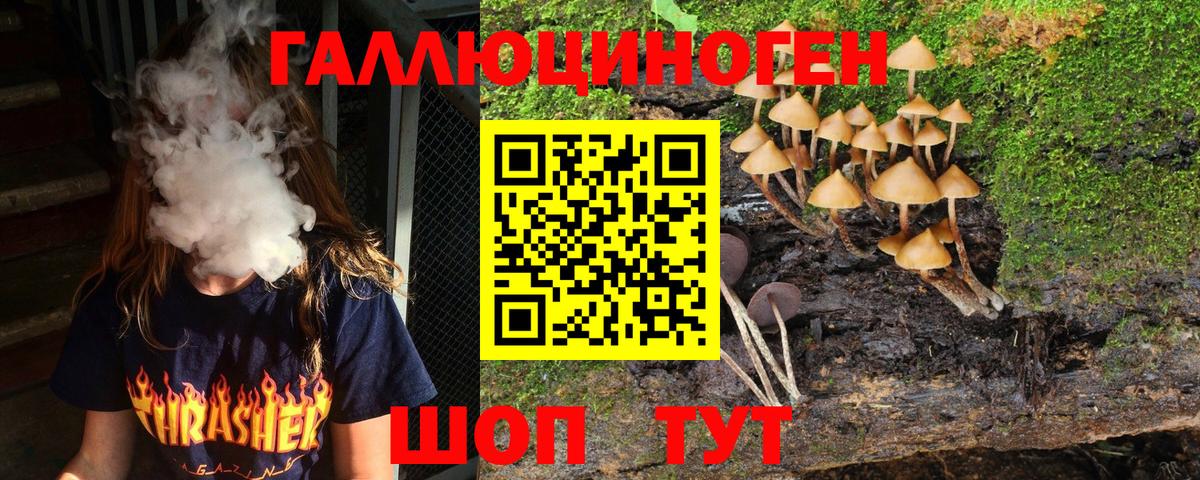 Псилоцибиновые грибы MAGIC MUSHROOMS  Вход с VPN  Белебей 